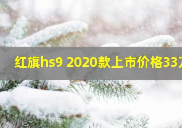 红旗hs9 2020款上市价格33万